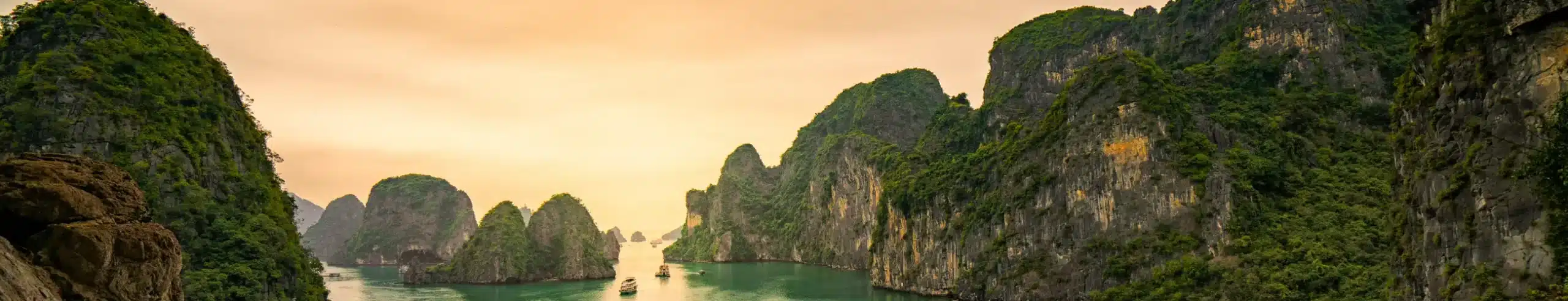 Vietnam Tradicional