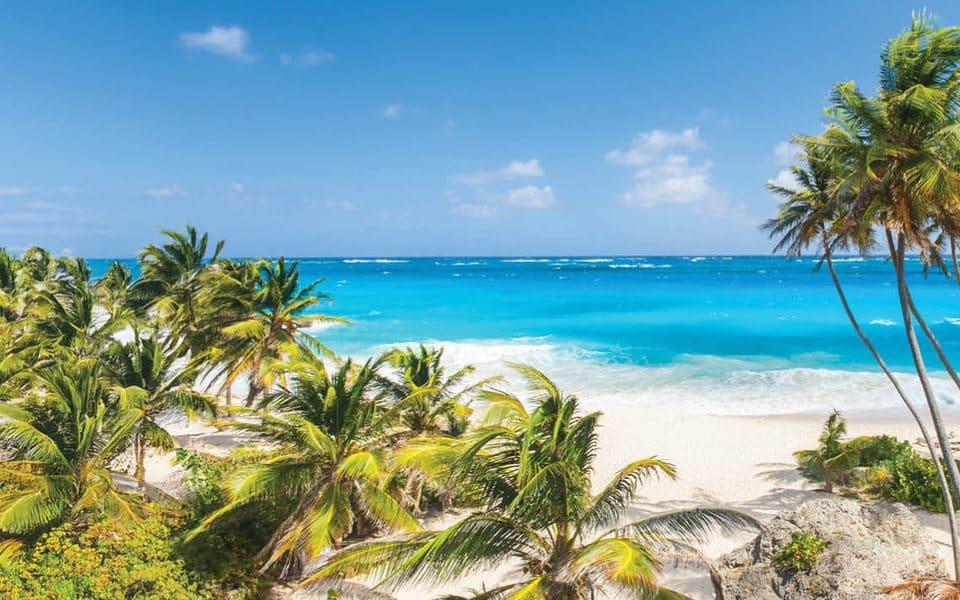 Playa del Caribe con palmeras, crucero Virgin Voyages Scarlet Lady desde Miami