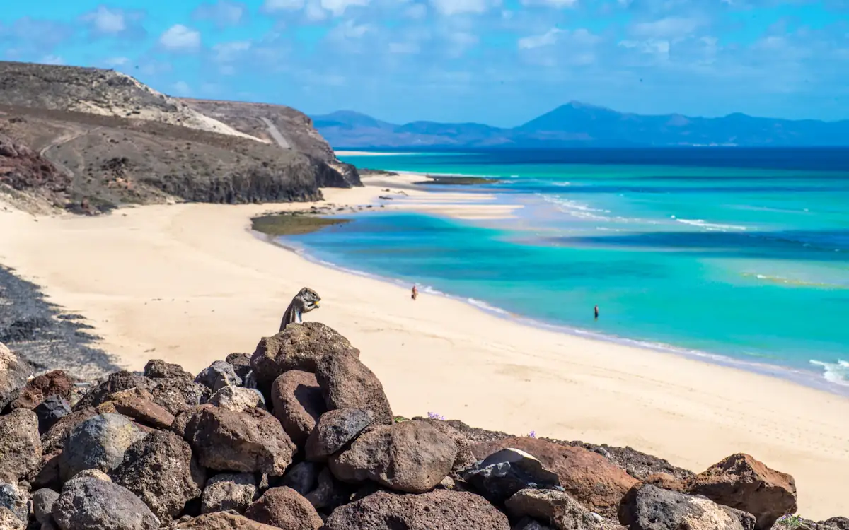 Playa de arena blanca y agua turquesa en Fuerteventura